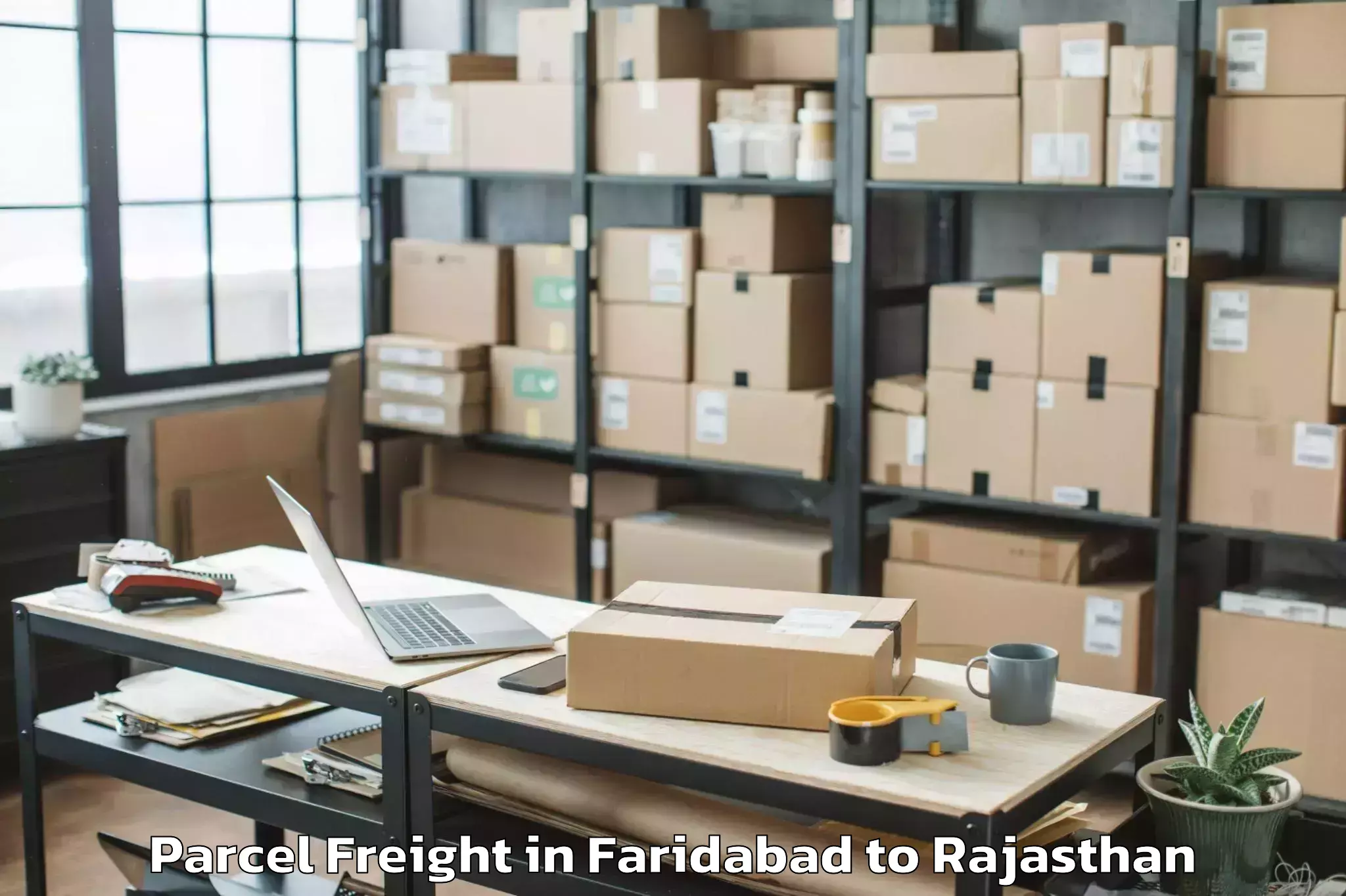 Book Faridabad to Dudu Parcel Freight Online